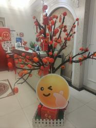 -香秀空间科技抗衰·美容中心