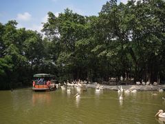 -广州长隆飞鸟乐园