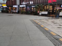 -MR鹅外