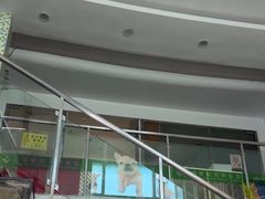 -爱侣宠医·鹦鹉专科·小型哺乳类·异宠专科(灵石路店)