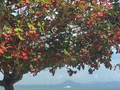 -三亚西岛海洋文化旅游区