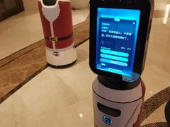 -常州武进九洲喜来登酒店