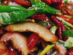 尖椒炒拱嘴儿-蒲氏烤鸭(百寿路店)