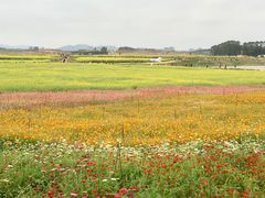 -光明小镇欢乐田园