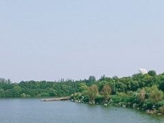 -西安浐灞国家湿地公园