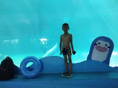 -秦皇岛乐岛海洋王国