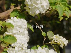 -沧浪亭