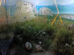 -宁波杭州湾国家湿地公园