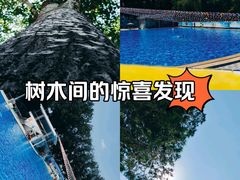 -青年湖公园水上世界