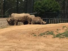 -大连森林动物园