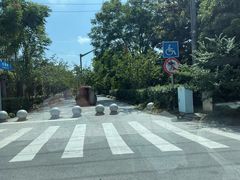 -高东镇樱花园