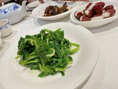 酒香豆苗-老吉士酒家(天平路店)
