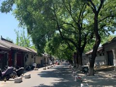 -北京国子监胡同