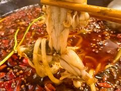 -鸿顺老铁锅美蛙鱼府(解放碑店)