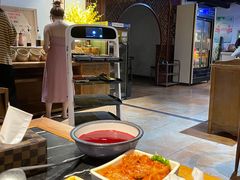 -杨家火锅(国美店)