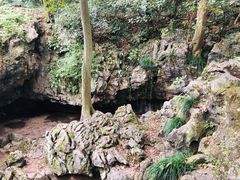 -灵隐飞来峰景区