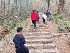 -东明山森林公园