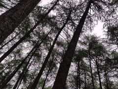 -硗碛藏寨·神木垒景区