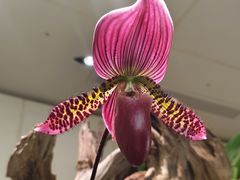 -云溪植物园