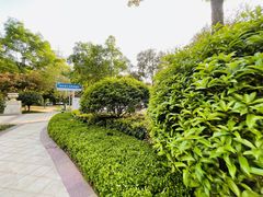 -青岛鑫江温德姆酒店