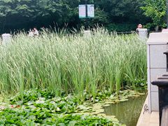 -大连植物园