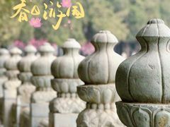 -颐和园