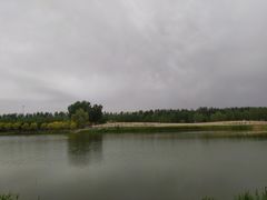 -东郊湿地公园