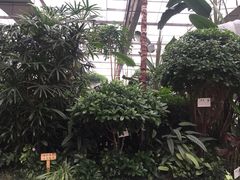 -汤山翠谷生态餐厅