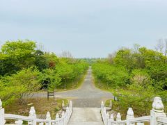 -上海海湾国家森林公园