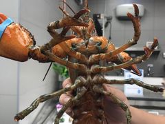 -盒马鲜生(大成店)