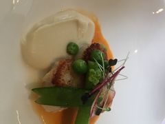 香煎扇贝-蝶舍·MAISON PAPILLON