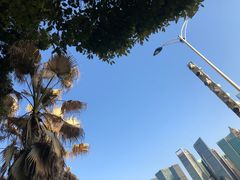 -北外滩滨江绿地