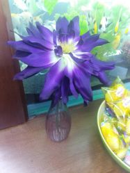 花有点大-小左美发