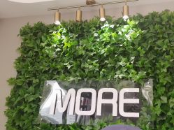-More摩尔医美の注射线雕光电中心