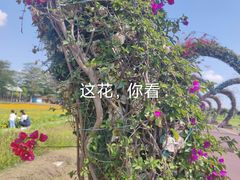 -迪茵湖田家舍生态农场