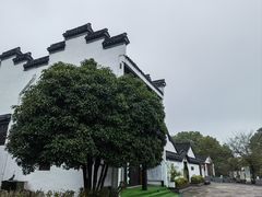 -丝绸小镇荻港古村