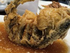 -湖畔鲁菜·二十年老字号餐厅(大明湖店)