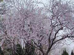 -北坞公园