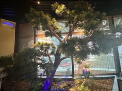 -绿茶餐厅(成都大悦城店)