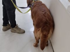 -美联众合动物医院·24h京西诊疗中心