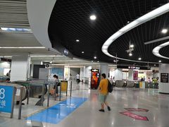 -东方体育中心(地铁站)