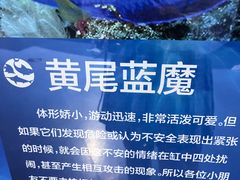 -沙沙哗啦海洋馆(华宇百花谷店)