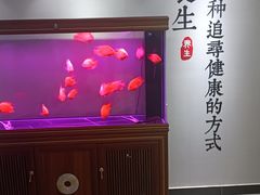 -金蚁康•经络调理•肩颈按摩(万达金街店)