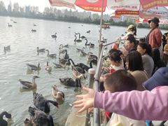 -艾溪湖湿地公园