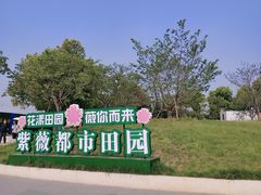 -武汉紫薇都市田园