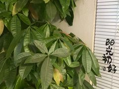 -张钰强中医正骨推拿连锁(华发商都店)