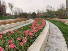 -府河摄影公园