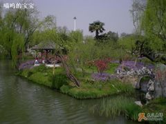 -盆景园(扬州大运河文化旅游度假区)