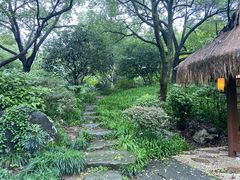 -中国茶叶博物馆(双峰馆区)