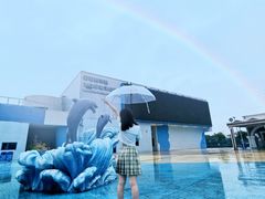 -芜湖新华联大白鲸海洋公园